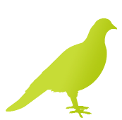 Aves - Sonido Verde Urbano